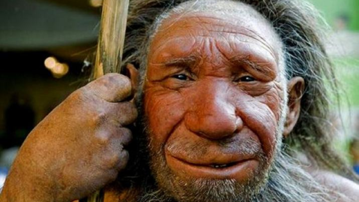 Денисовский человек. Антропологическая реконструкция. Источник: https://www.stena.ee/