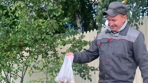 Деревня вить