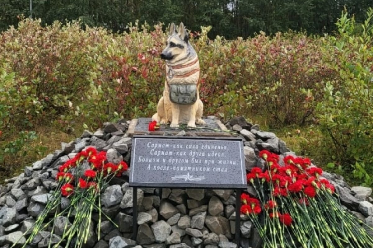    Памятник открыли на территории школы.