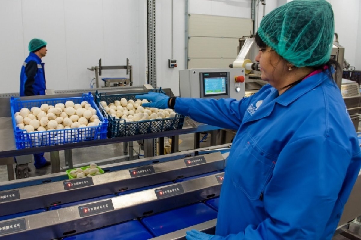    Травят мастерски.