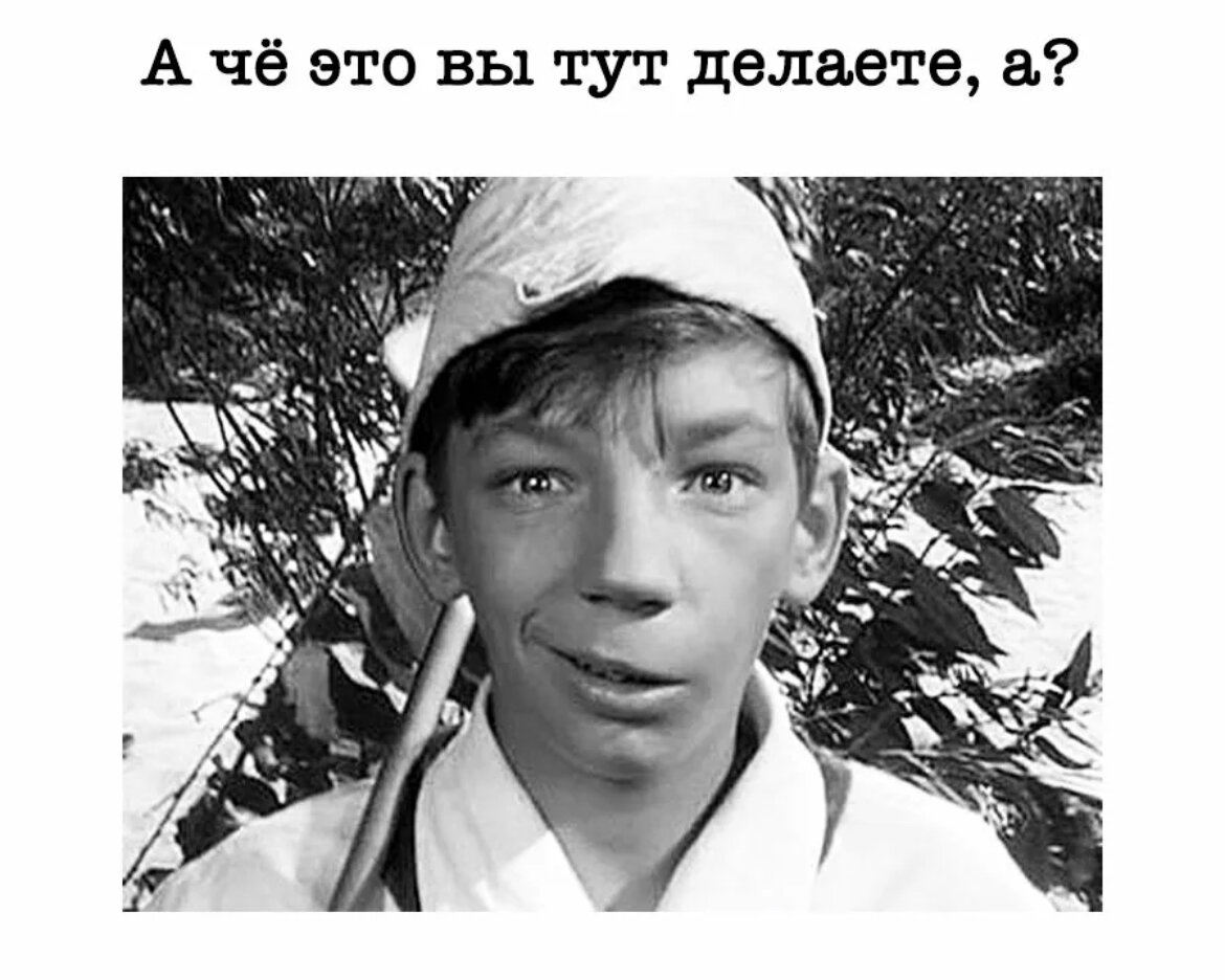 А из кадра образования