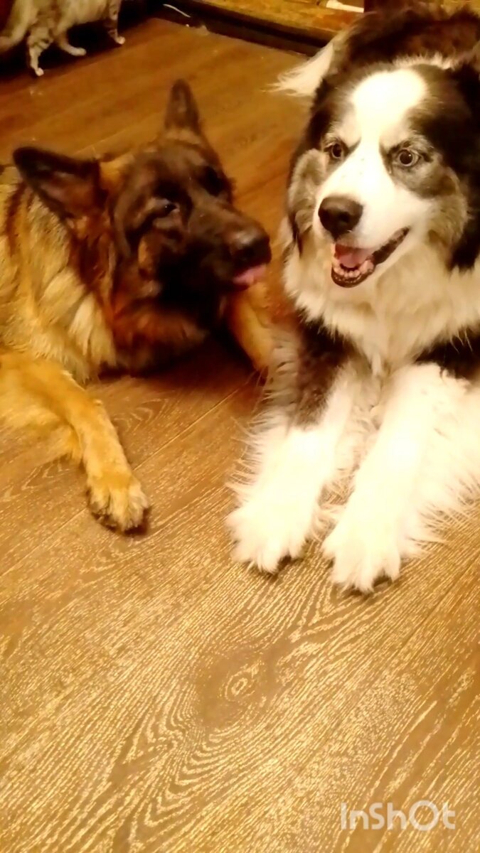 Личное фото