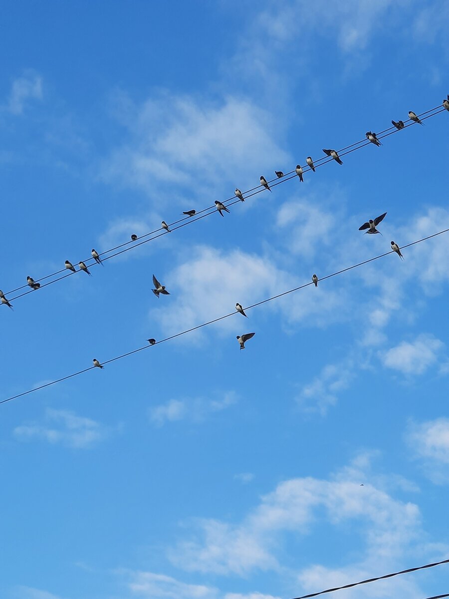 Вид с крыльца