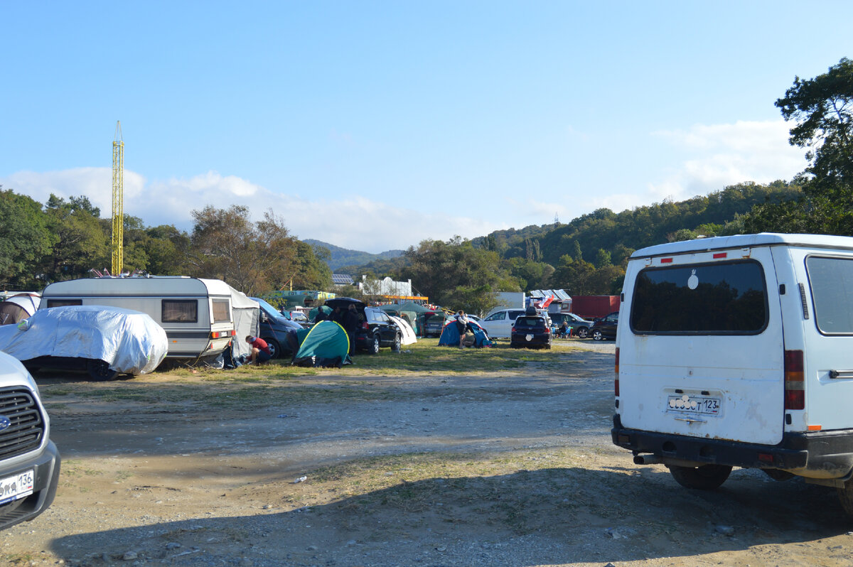 Фото автора 17.09.2023. Лесной массив Кубани. Здесь скоро начнётся сбор грибов.