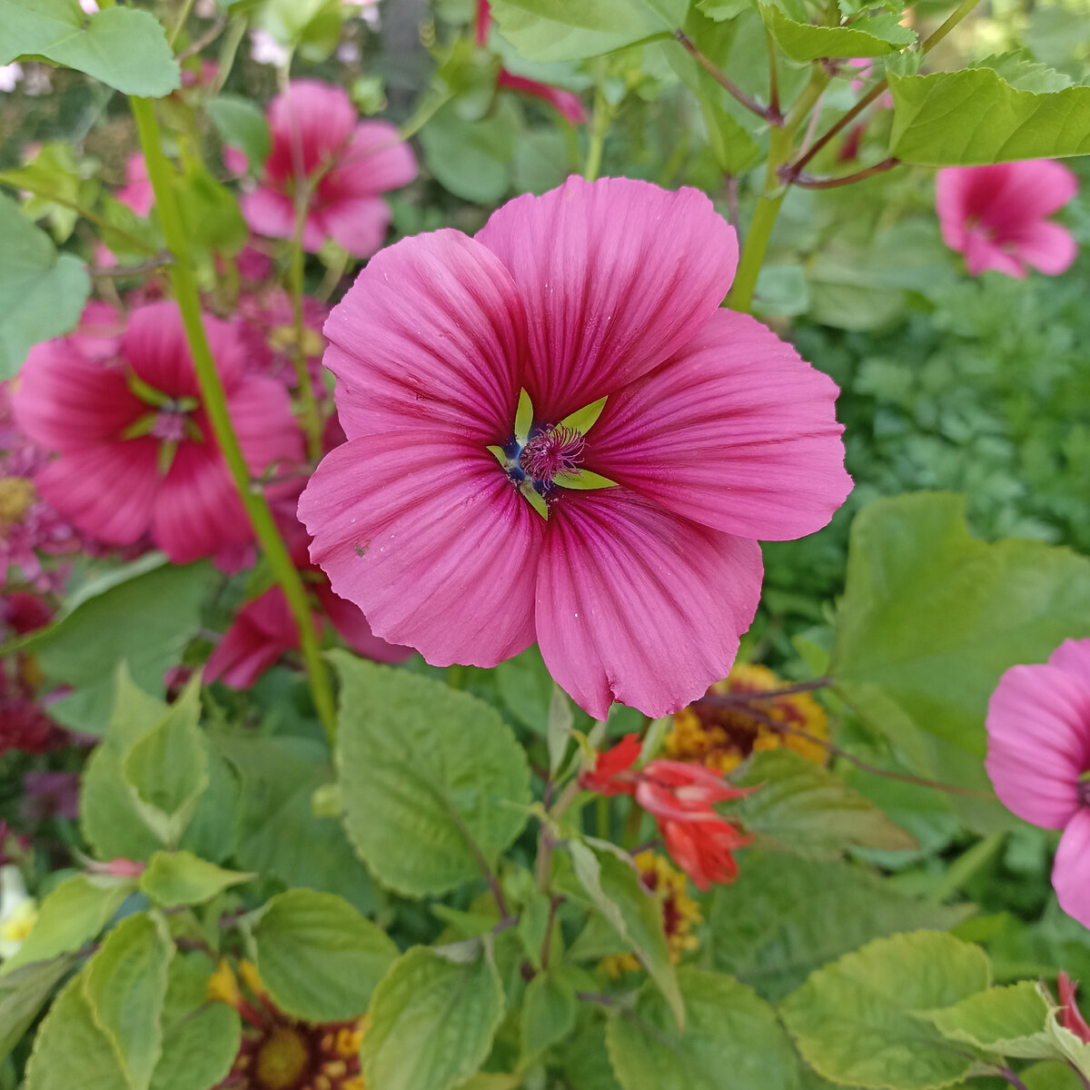 Фото из личного архива