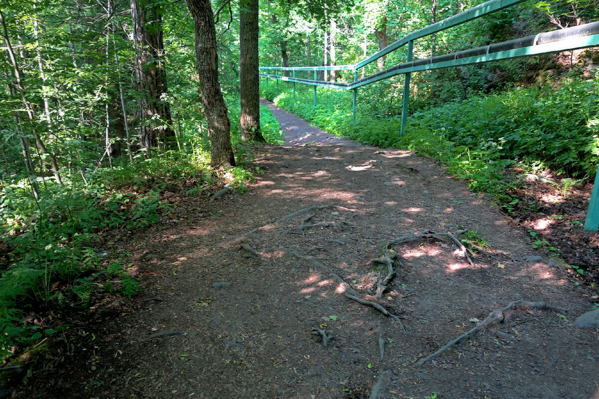 Тропа к Никольскому Скиту...