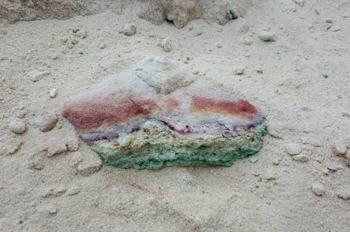    В Новосибирской области нашли прииск 18 века