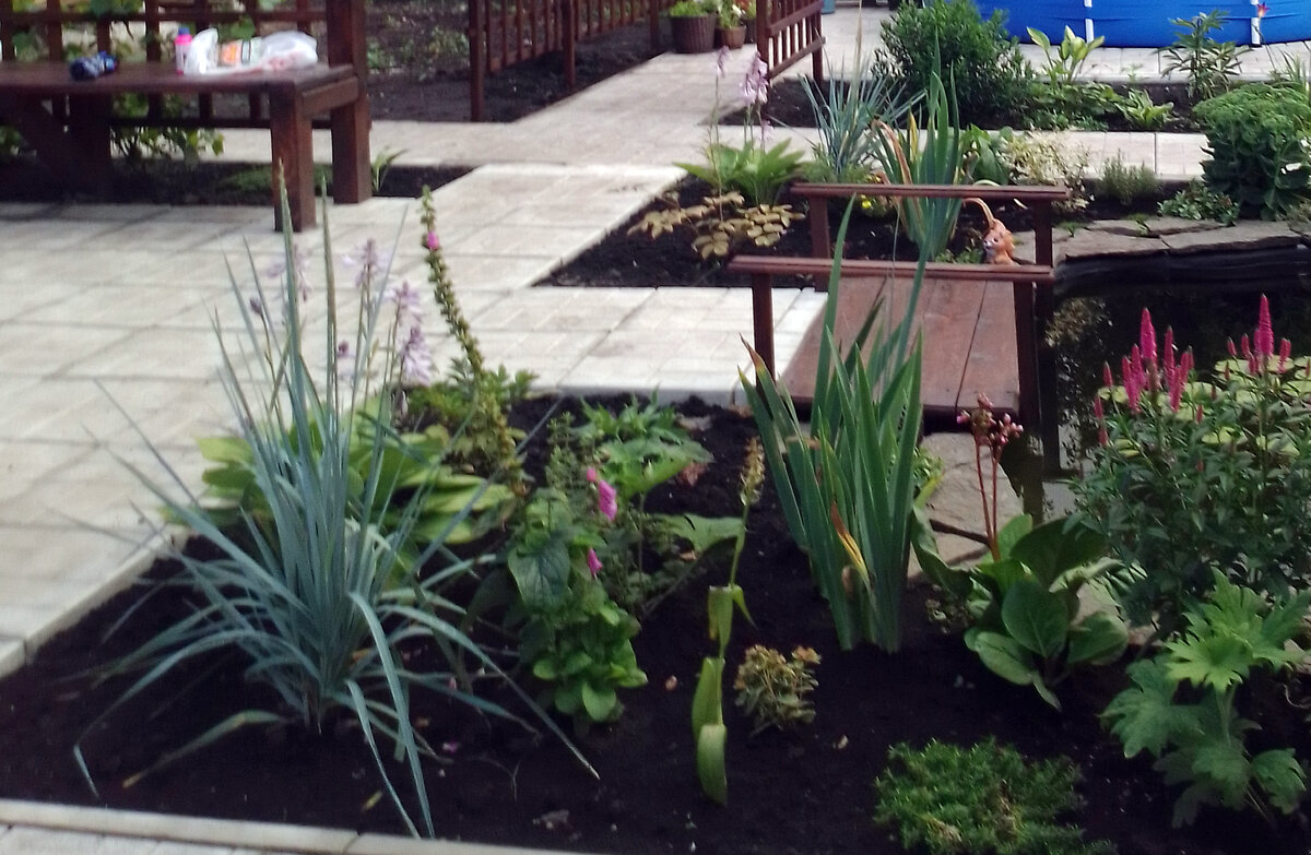 Второй год моего садоводства