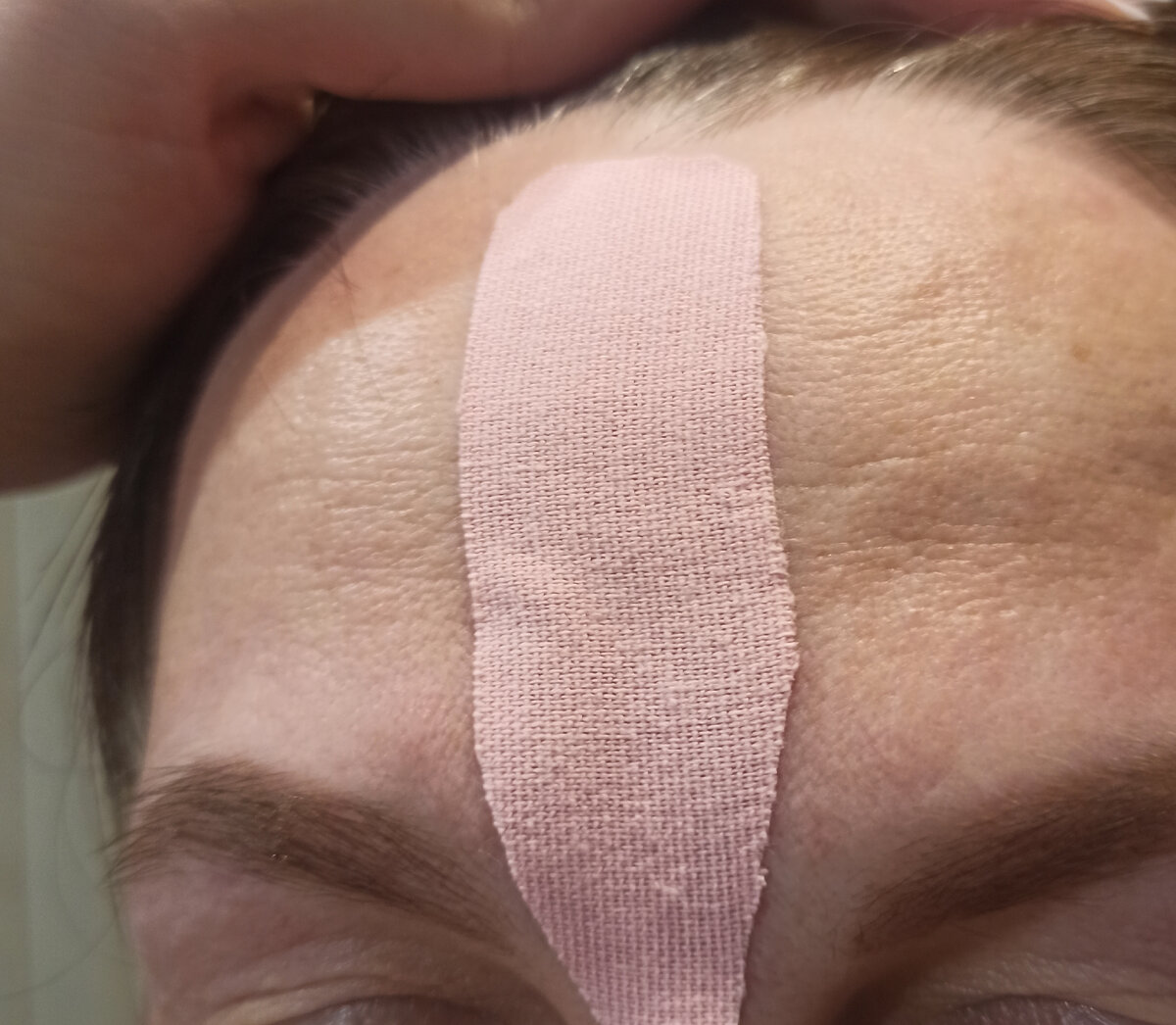 Вот такую аппликацию мы выполнили 