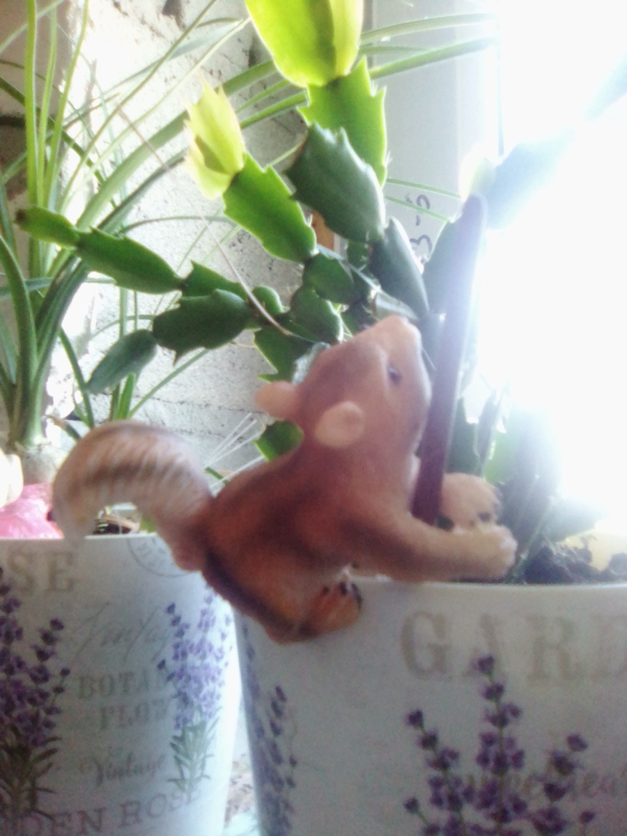 авторское фото