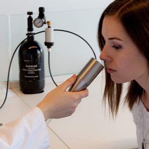 Ольфактометр Эльсберга и Леви.