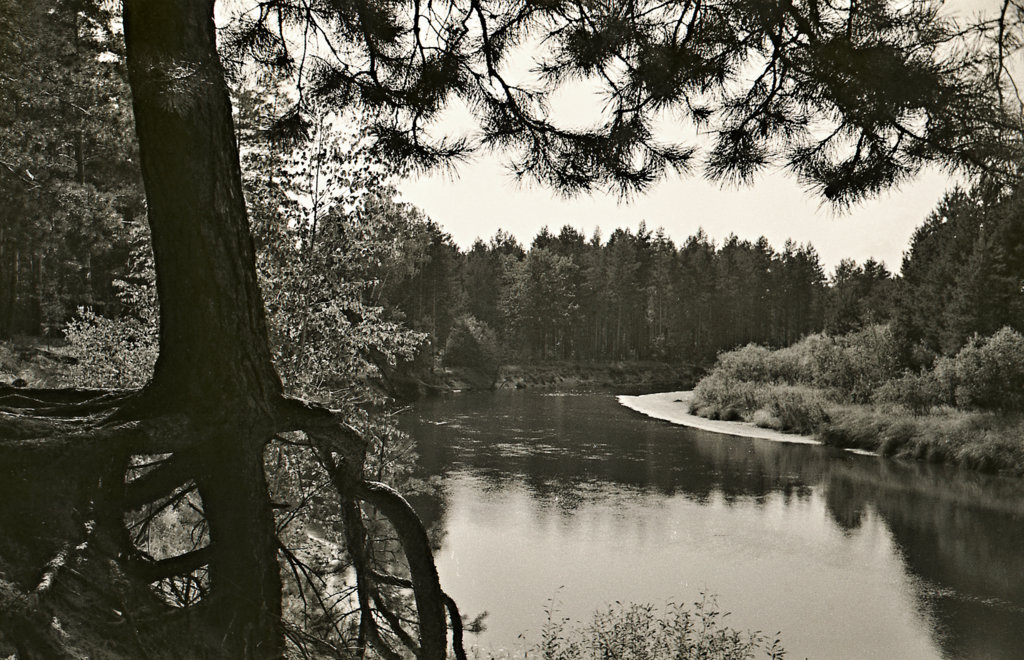 Мещерская земля. Мещерский край. Мещерская сторона картинки. Мещерская сторона фотоальбом 1981. Прелесть мещерского края