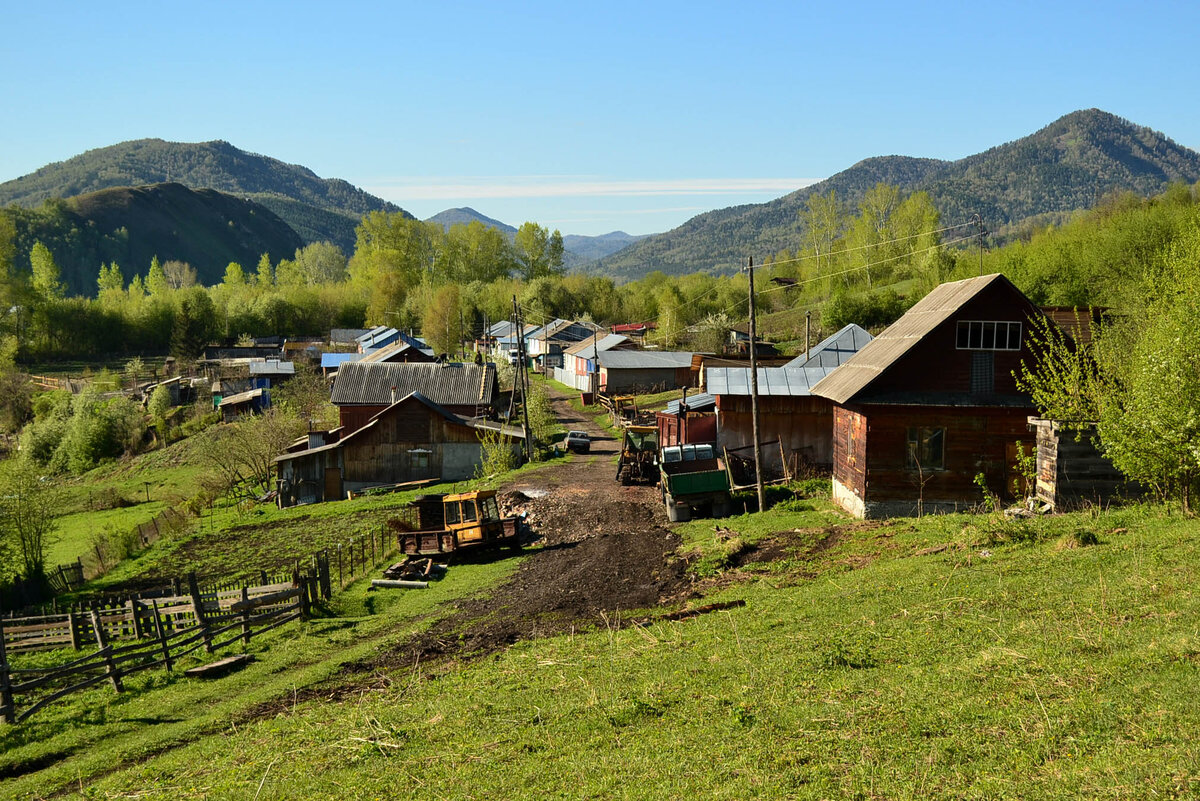 Погода село алтайское. Деревня Алтайка, Алтайский край.. С Куяча Алтайского района Алтайского края. Село Тоурак Алтайский край.