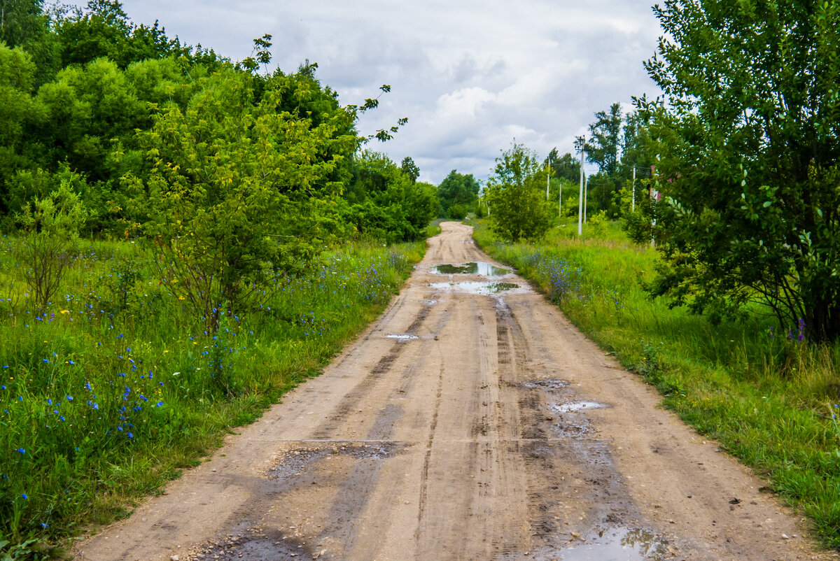 Деревня, в которой осталось около пяти дворов. Но жизнь в ней продолжается  | Прекрасное рядом | Дзен