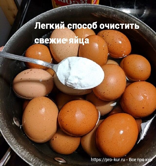 Большая кастрюля, если много яиц, то кладу две столовые ложки соды.