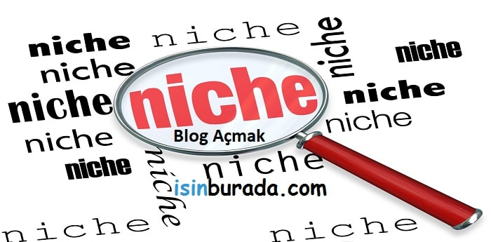 İngilizce Niche Blog Açarak Günde 100 TL Kazanmak