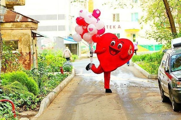 Живая открытка