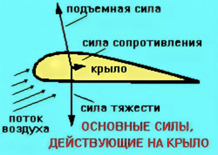 Вы точно не сможете открыть дверь во время полёта