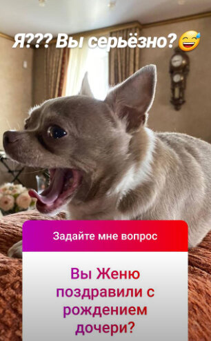 Фото: «Инстаграм»
