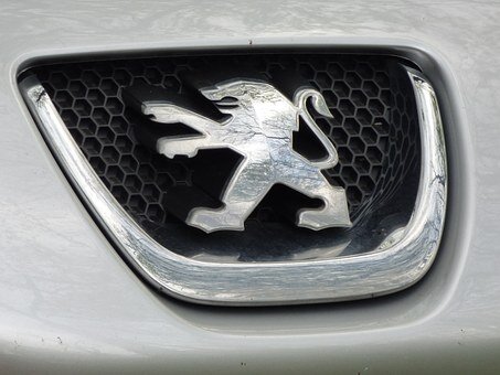 https://cdn.pixabay.com/photo/2014/04/27/22/59/peugeot-333637__340.jpg
