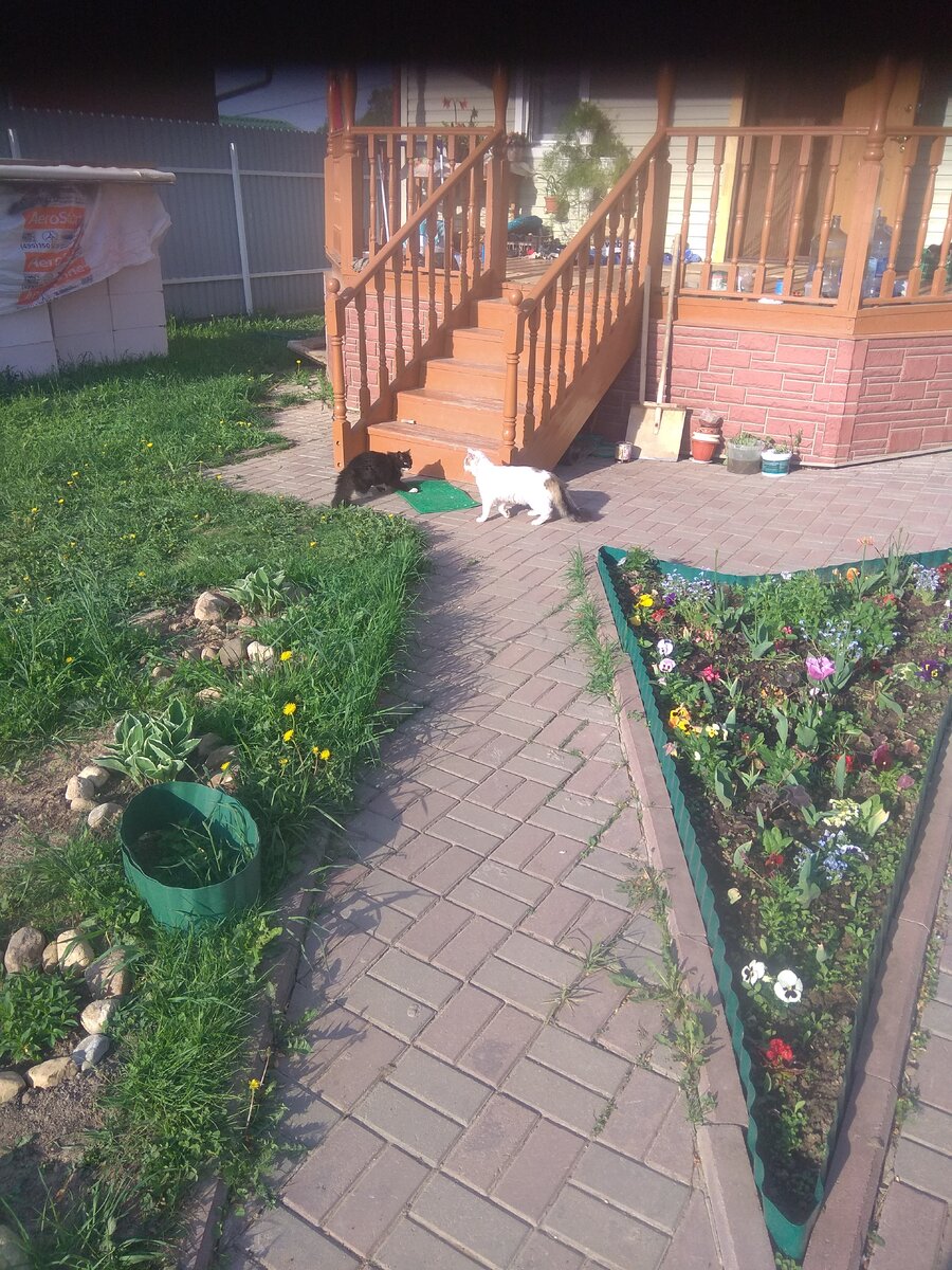 Вход в дом