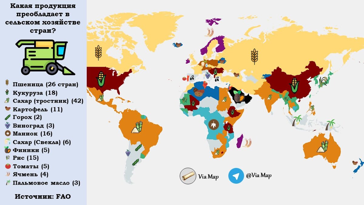 зерновые культуры россии. в каких странах выращивают рис. основные районы выращивания пшеницы кукурузы риса в мире. крупнейшие производители риса в мире. мировое производство риса.