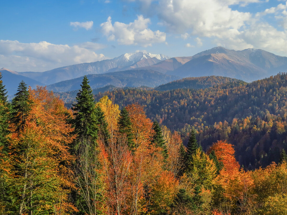 Плато Лагонаки Адыгея