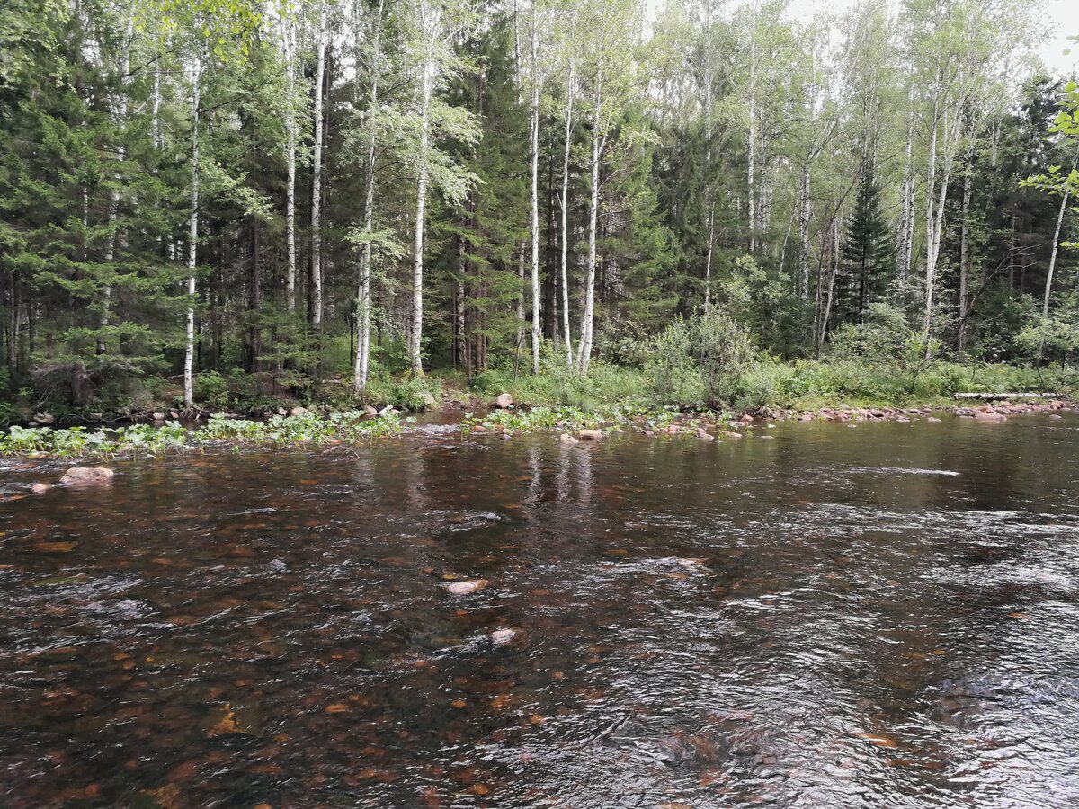 Река Большой Киалим