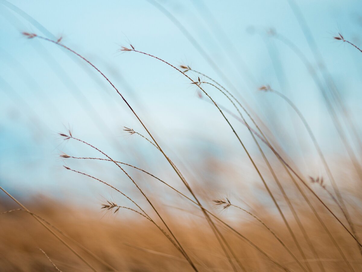 https://unsplash.com/photos/tQF8FCNYNrk