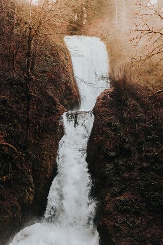 https://images.unsplash.com/photo-1543971928-c58960f9e4e8?ixlib=rb-1.2.1&ixid=eyJhcHBfaWQiOjEyMDd9&auto=format&fit=crop&w=334&q=80