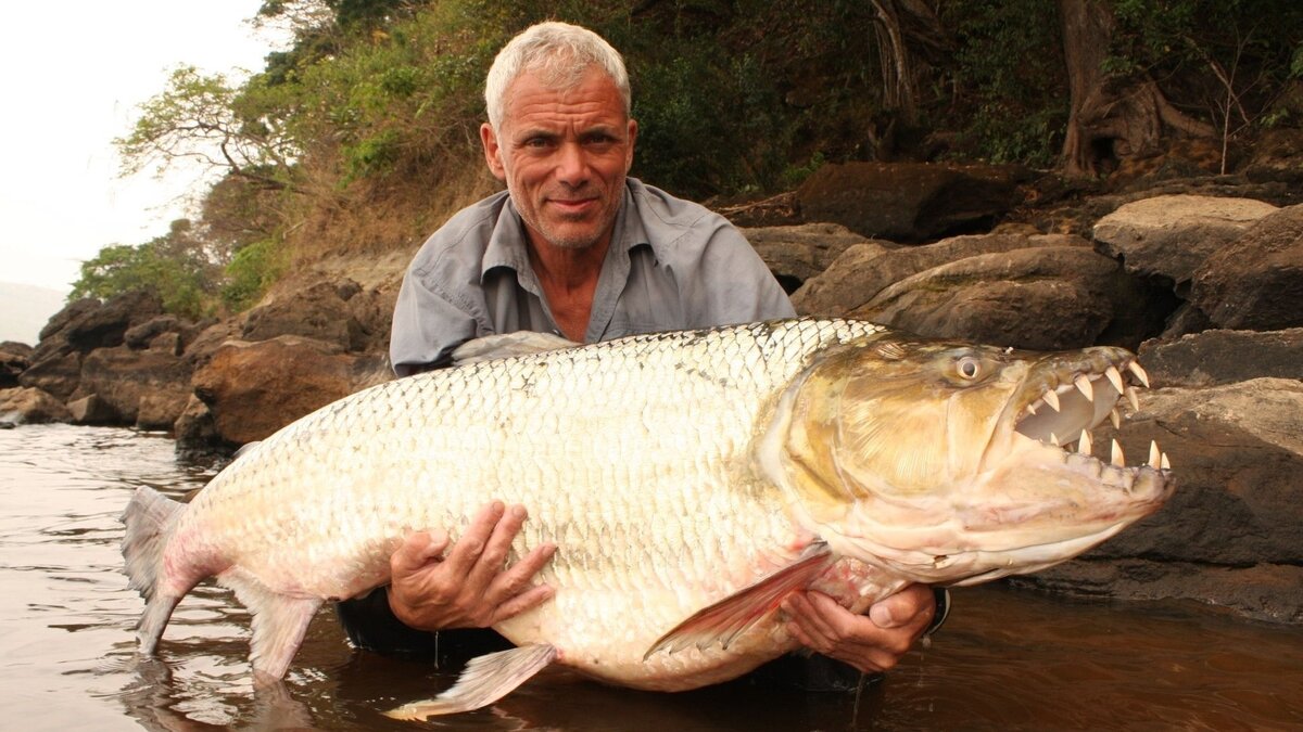 #вотэтозубы