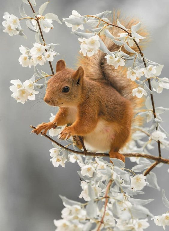https://www.pinterest.es/pin/AWilH_dvzKzpVdoHv4nB9yNhJVzN6GF8XvzOtPn82T2v0uTkzSMwSUI/