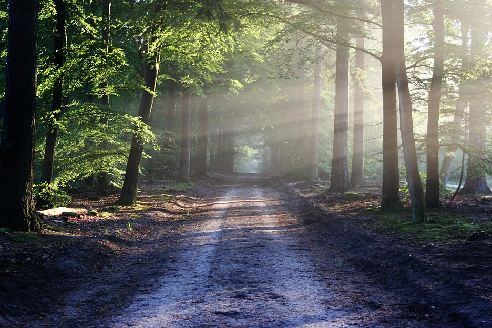 https://cdn.pixabay.com/photo/2015/06/19/21/24/the-road-815297_960_720.jpg