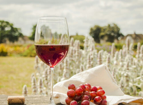 Как делать вино из винограда Лидия в домашних условиях? Несложные рецепты своими руками