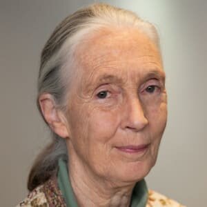 https://www.biography.com/.image/ar_1:1%2Cc_fill%2Ccs_srgb%2Cg_face%2Cq_auto:good%2Cw_300/MTE1ODA0OTcxODY1MjQ1MTk3/jane-goodall-9542363-1-402.jpg