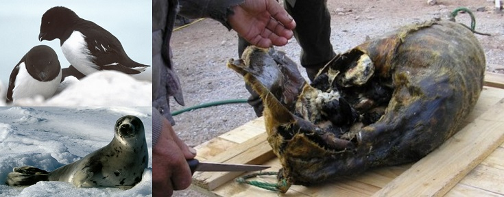 Изображение с сайта tutorialspoint.com