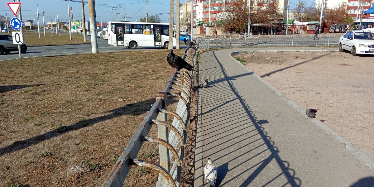 Сегодняшний поход. Начало.