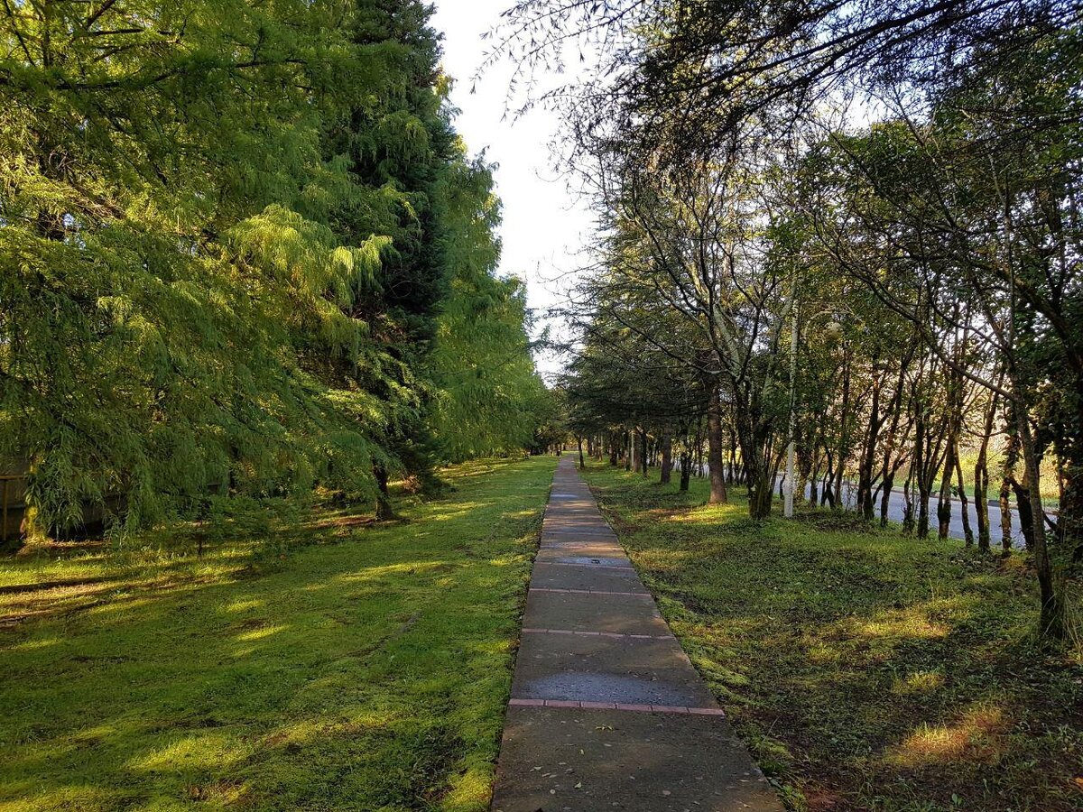 Дорога к клеткам с обезьянами. 