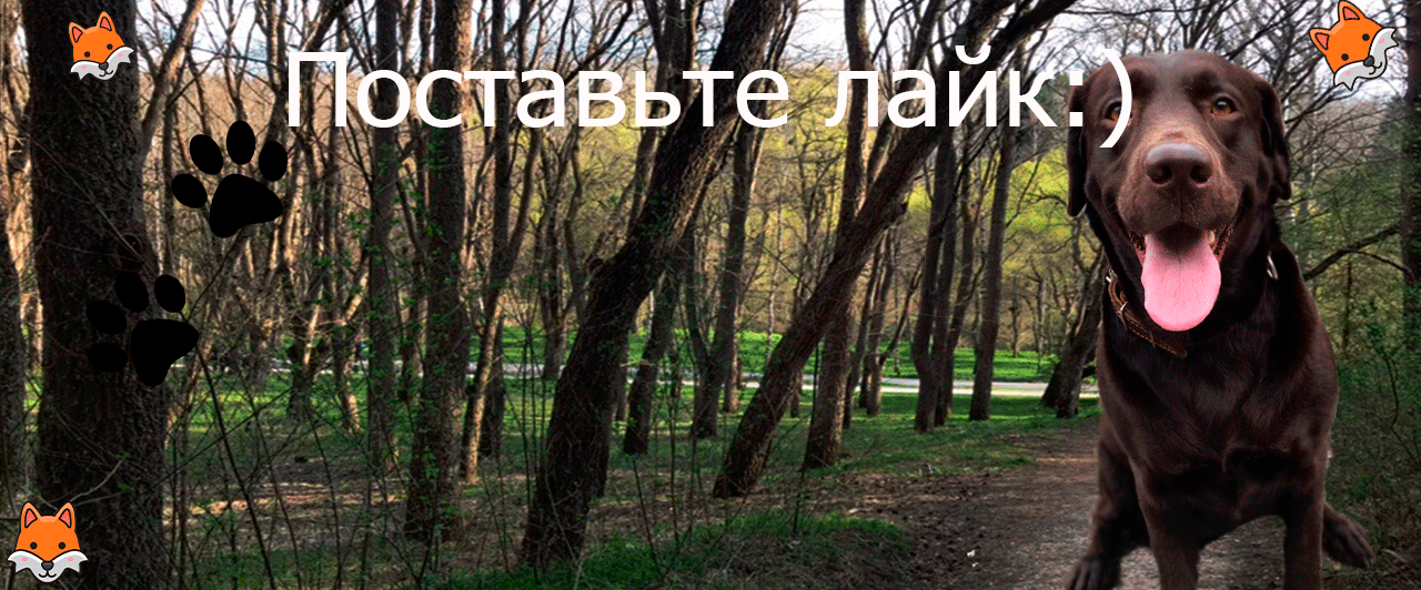 Подпишитесь!