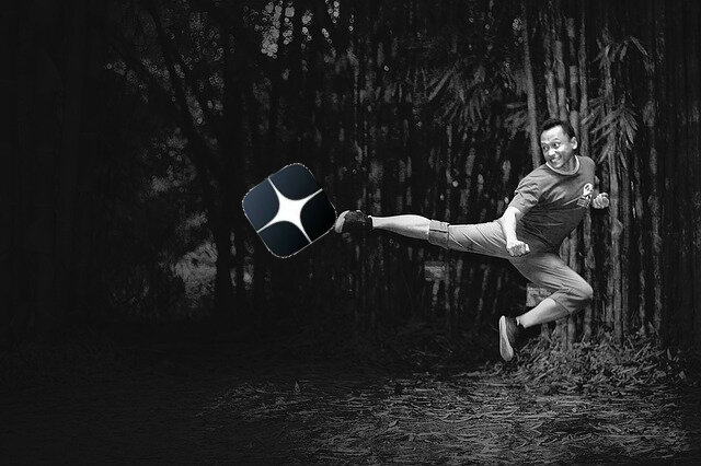 Фото с сайта https://pixabay.com/photos/kick-taekwondo-martial-art-pose-4606745 