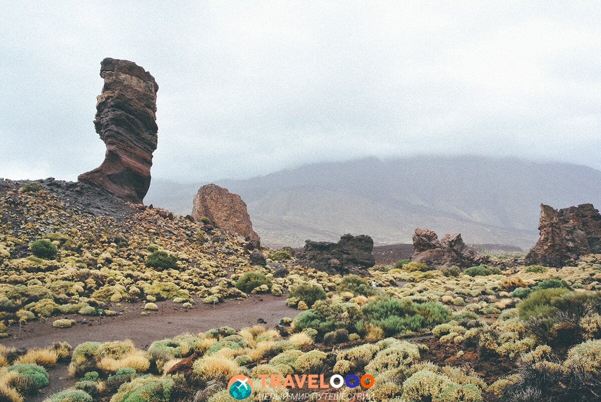 В XV веке после ожесточенного сопротивления острова были захвачены и порабощены испанцами, а местное население было вынуждено принять католическое христианство. В конце XIX века с появлением первого курорта, на Тенерифе стал развиваться туризм, в городе Лос Гигантес появилось множество отелей и магазинов, и вскоре он стал туристическим центром острова.

Общая информация
