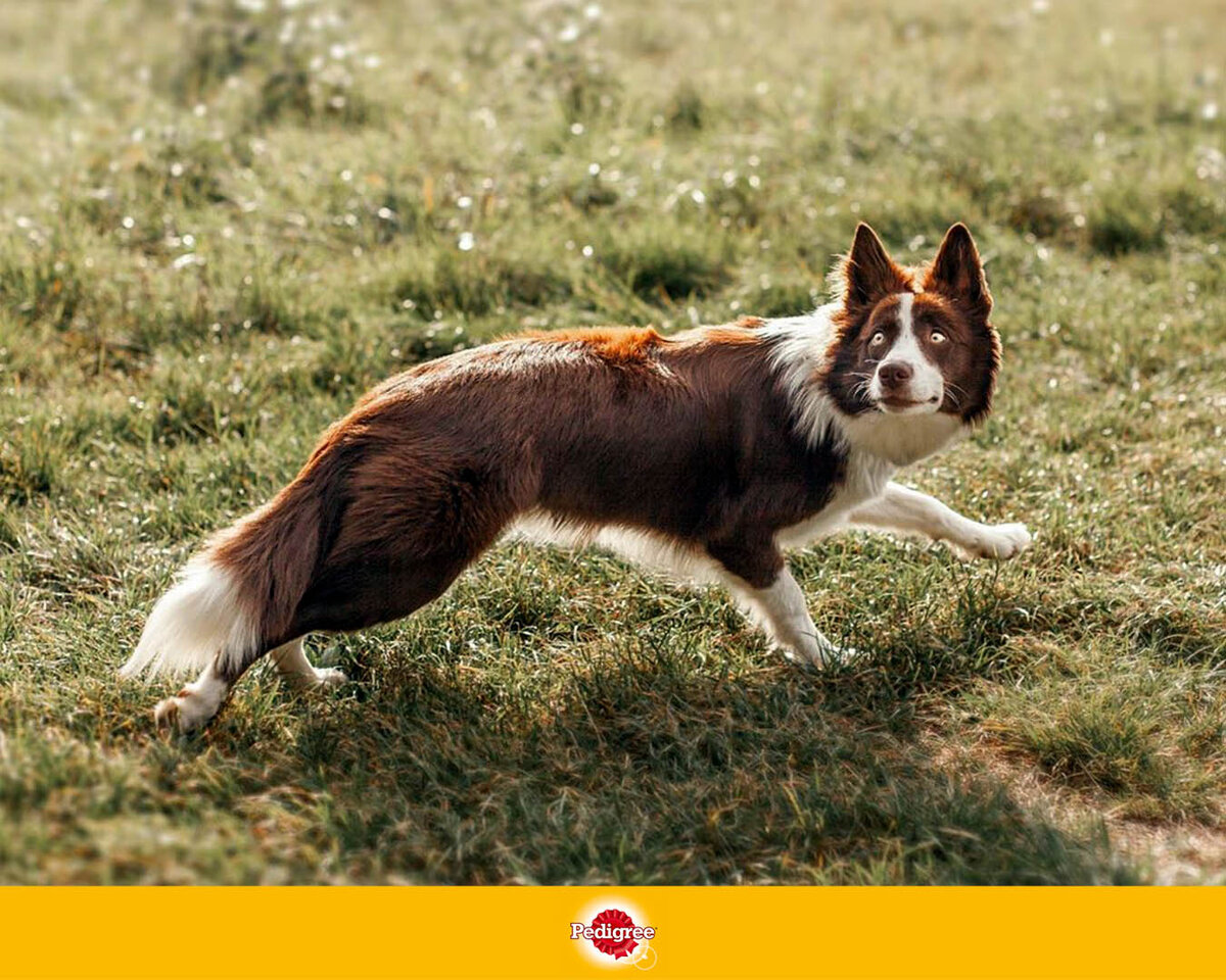 Взять с собой мешок для сбора отходов.