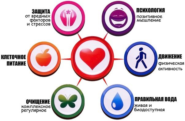 Принцип комплексности