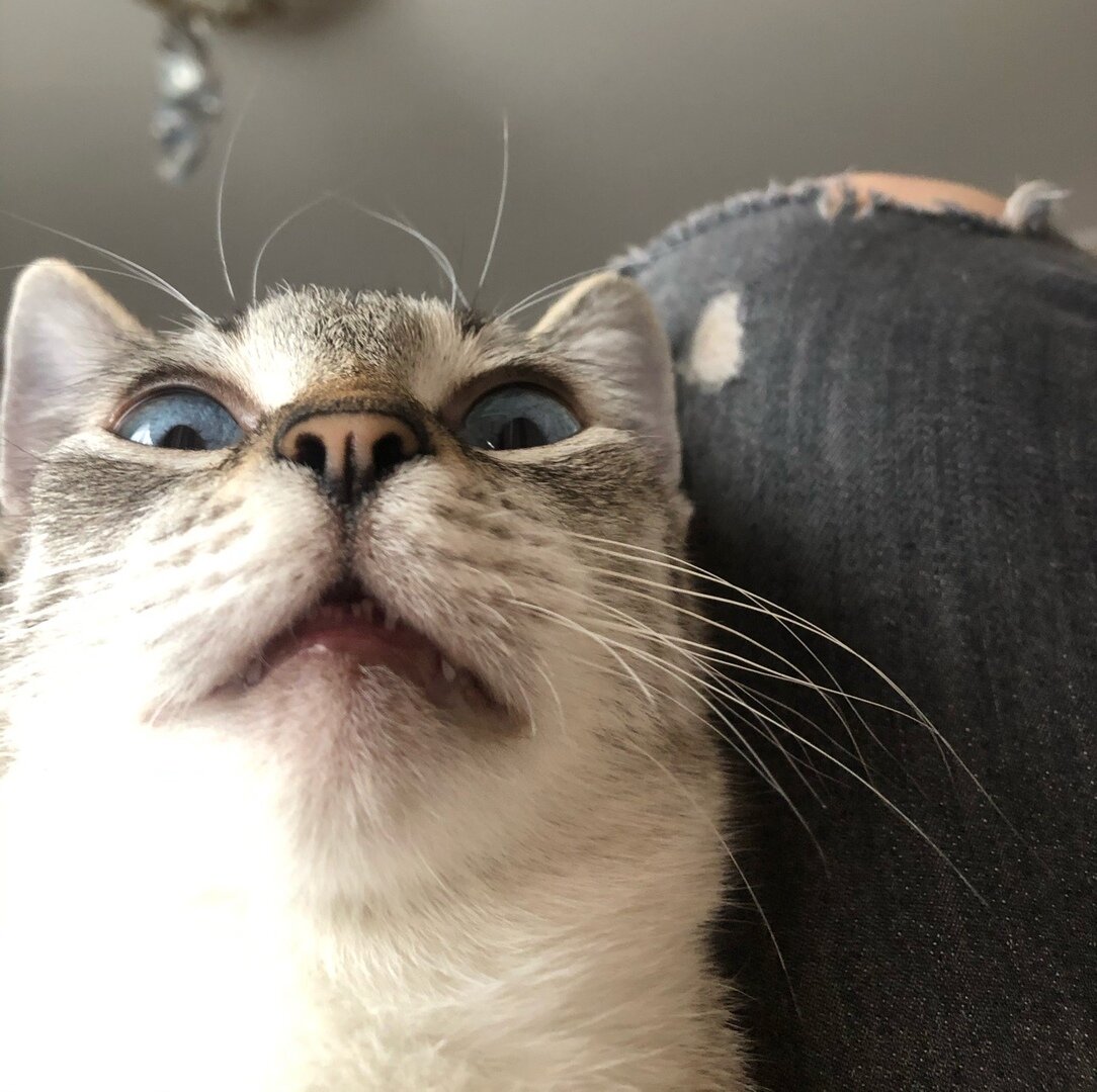 Фото из открытого источника