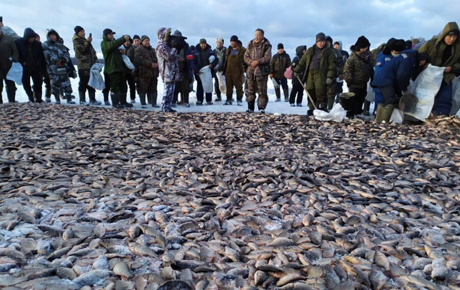 Подледная рыбалка в Амге