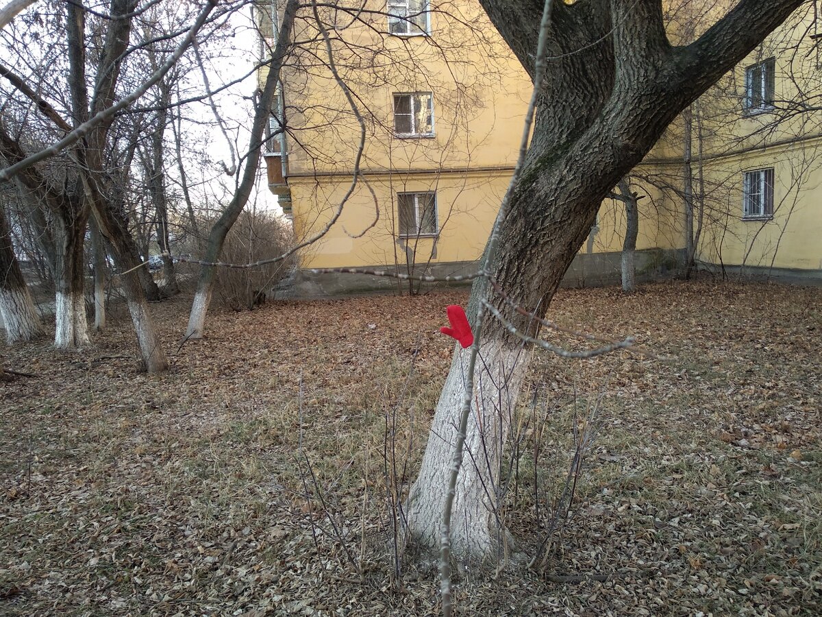 коллекция потерянных варежек пополняется