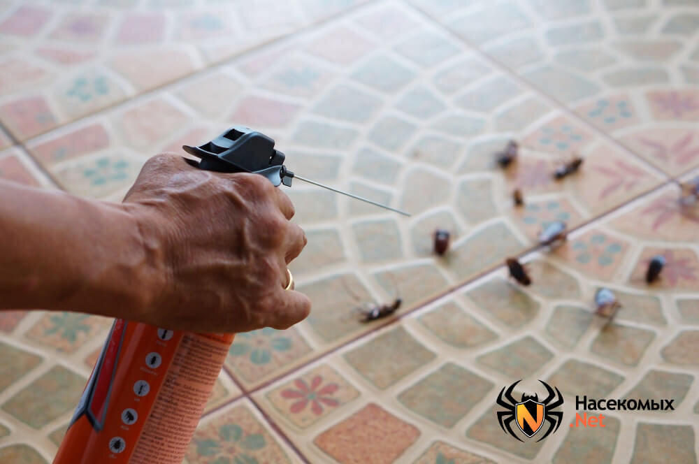 Травля тараканов