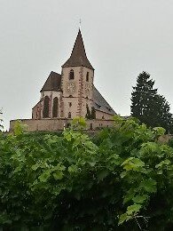 Юнавир, винная дорога