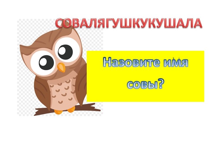 Имя для совенка. Клички для сов. Имя для совы. Имя для совы. Имя для совы.