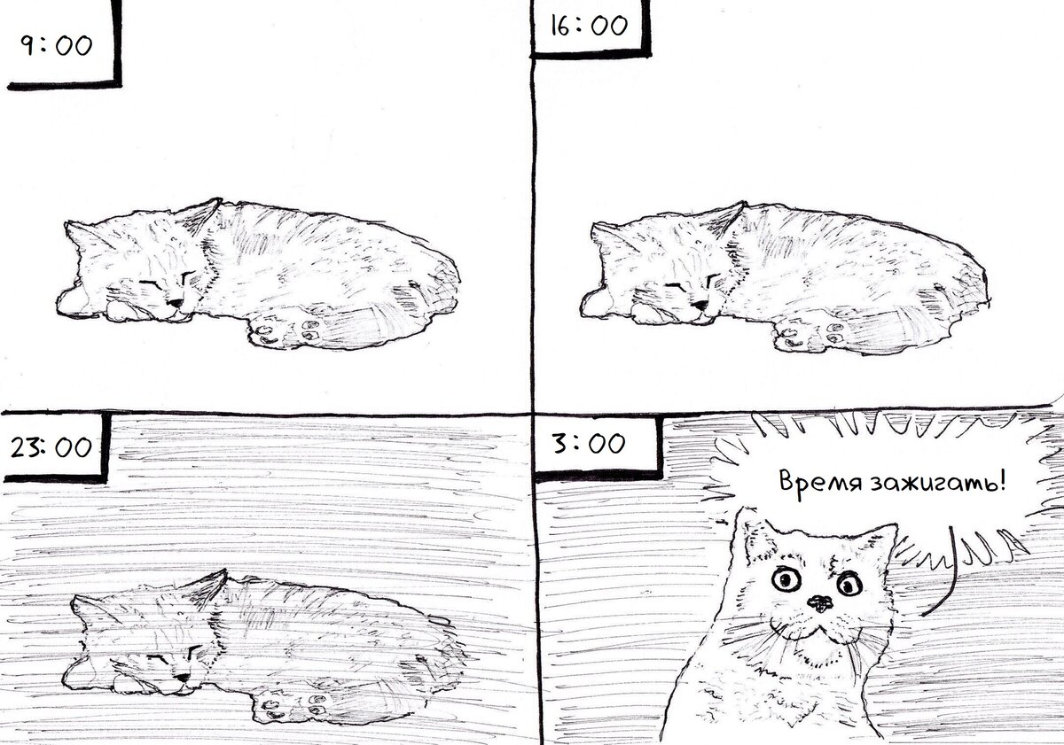 Комикс про кота